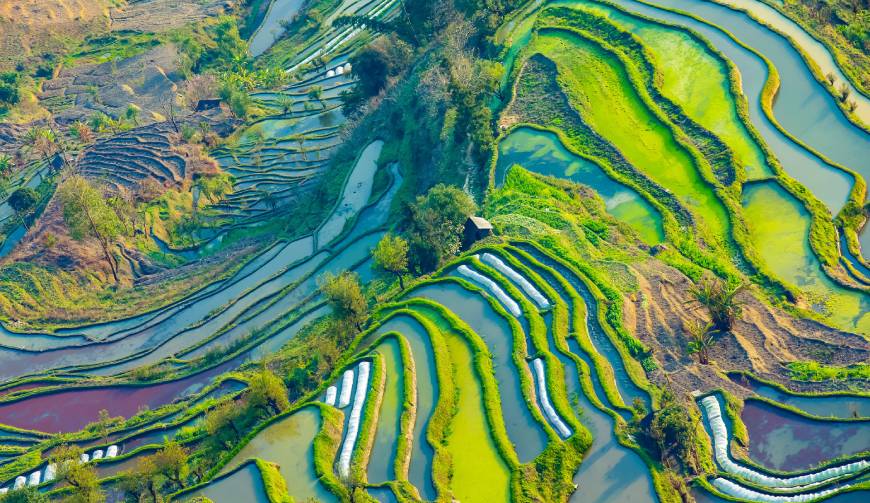 走进龙华区TVC拍摄：解锁本地化场景与创意镜头的完美融合